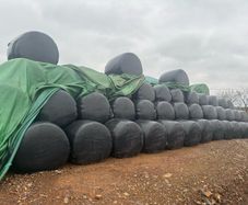 . Maize Bales
