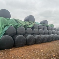 . Maize Bales