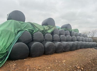 . Maize Bales