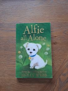 Alfie all alone