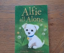 Alfie all alone