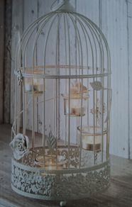 Birdcages for Hire