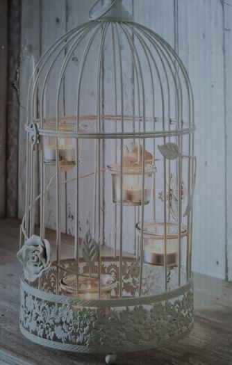 Birdcages for Hire