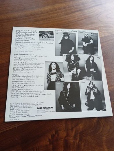 Lynard Skynard old vinyl