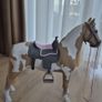 Horse Image 5