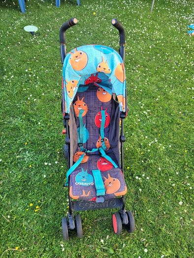 'Cosato' Buggy