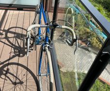 Race bike/Road bike (vintage bike)