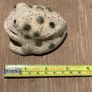 Rustic Ceramic Frog / Toad Image 7