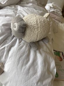 Ewan the Dream Sheep