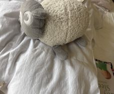 Ewan the Dream Sheep