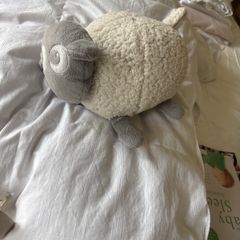Ewan the Dream Sheep