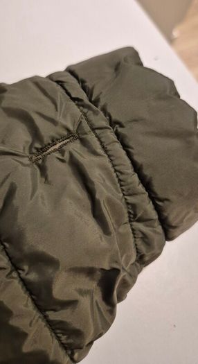 dog jacket