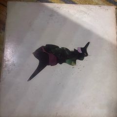 Stray vinyl lp