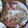 John Francis - The Forest Year - 5 Porcelain Collection Plates Image 3