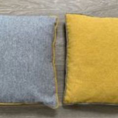 Pair of Small Square Cushions with Piping