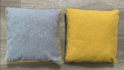 Pair of Small Square Cushions with Piping