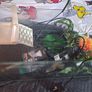 turtle tank Image 4