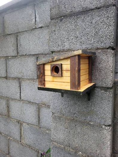 Bird house