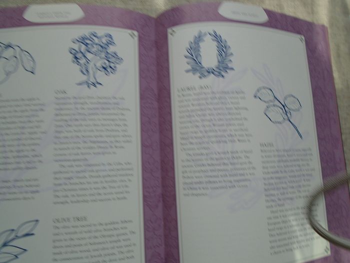 The Mystic symbols,a complete guide to magic and sacred symbols, Brenda Mallon,Hardback book, Non fiction.