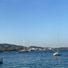 greenisland-93