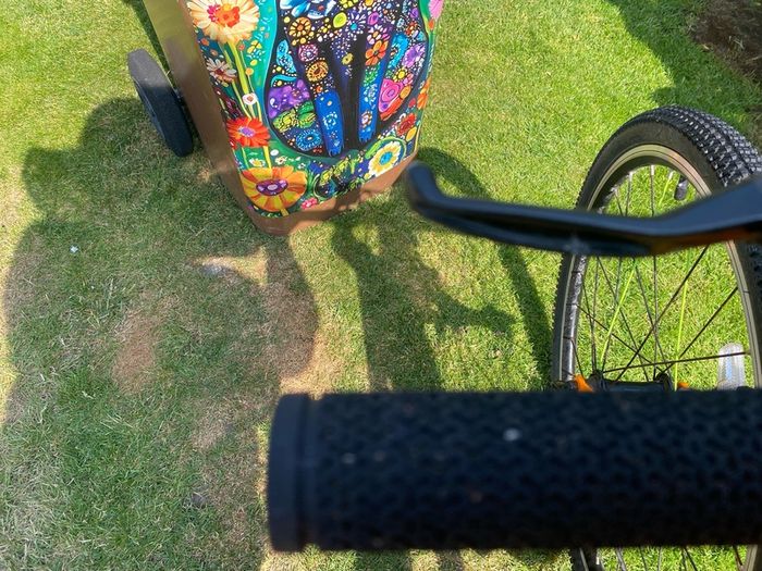 Frog Bike