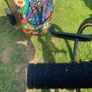 Frog Bike Image 3
