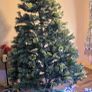 Christmas tree Image 2
