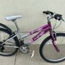 2 Raleigh Image 2