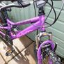 Girls Bike Image 5