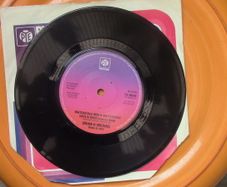 Brian & Michael - Matchstalk Men & Matchstalk Cats & Dogs 7" Single