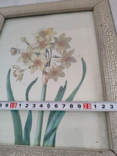 Still life flower framed print.