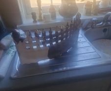 fire grate