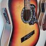 DIGIORGIO semi acoustic classical guitar Image 2