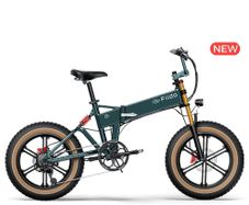 Fiido M1 Pro Electric Bike