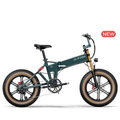 Fiido M1 Pro Electric Bike