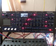 Korg multi/poly Module