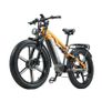 Randride Yx80m Plus Electric Bike Image 3