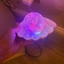 Clam glitter pearl led colour changing lamp Image 7