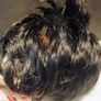 Rare 1986 21" Max Zapf Black Doll Image 8