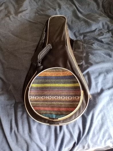 Palmer mandolin P3W  late 70s r early 80s and gigbag