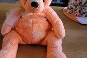 TY Beanie BUDDY Tangerine