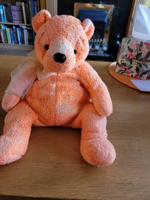 TY Beanie BUDDY Tangerine