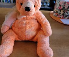 TY Beanie BUDDY Tangerine