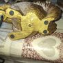 Gold Resin Squirrel Table Lamp, Postage Available or Collection Image 6