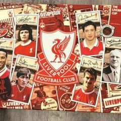 Liverpool canvas