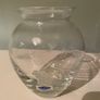 Duiske Irish etched glass vase with original sticker Image 2