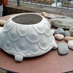 Plant Pots