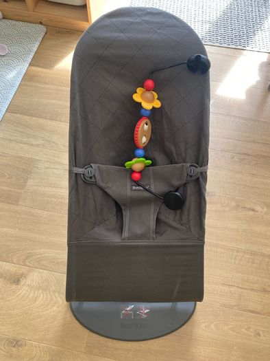 Baby bjorn bouncer
