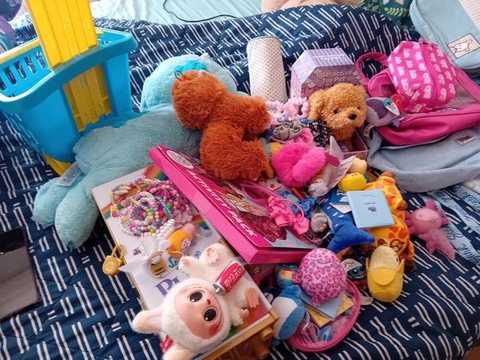 Toy
