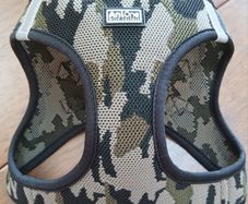 Medium Dog Harness